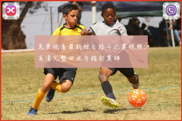 免费观看最新综合格斗比赛视频：高清完整回放与精彩集锦